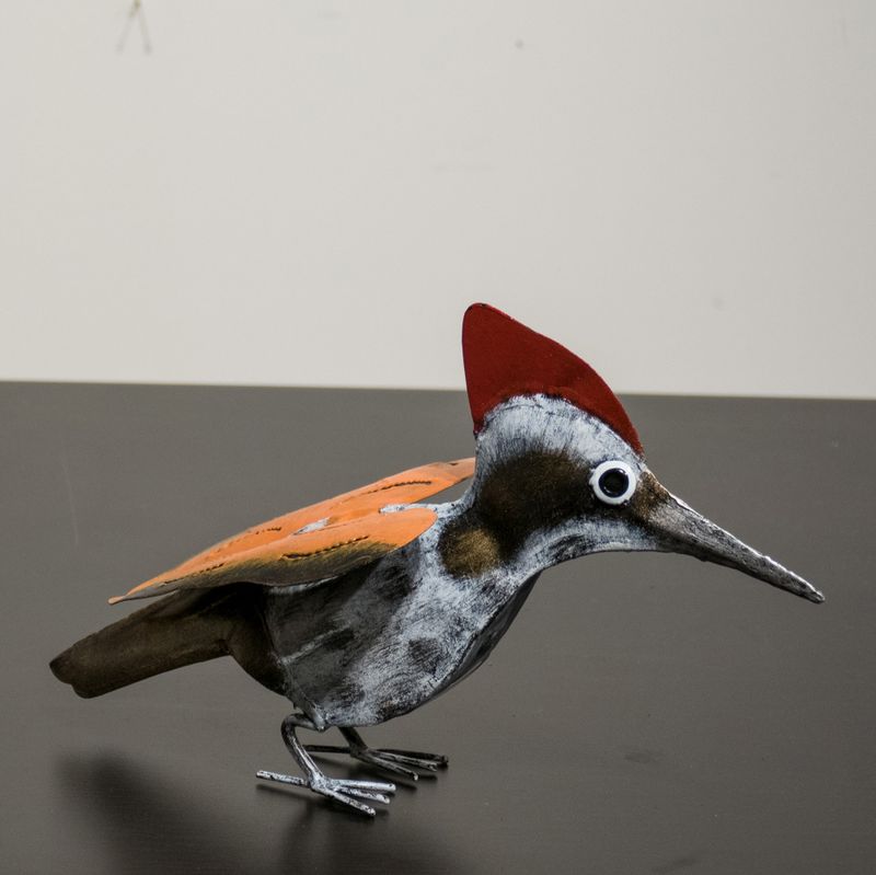 Fugl, Hakkespett, grå/oransje