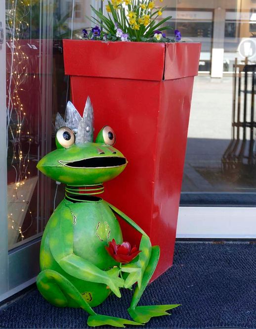 Hovedbilde Kongefrosk med blomst