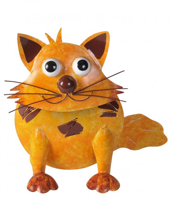 Hovedbilde Bolle Katt