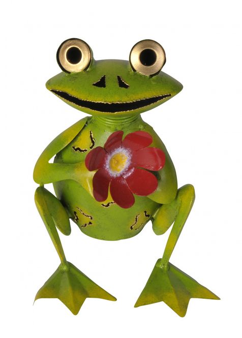 Hovedbilde Frosk med Blomst