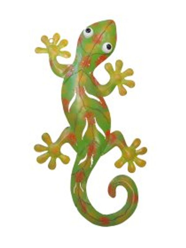 Gecko Grønn. Liten og stor