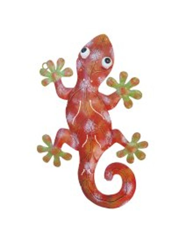 Gecko Rød. Liten og stor